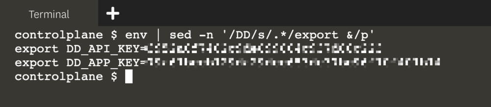 export api key
